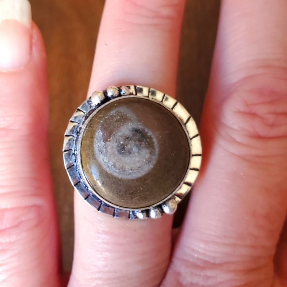 New Ammonite Fossil 925 Silver Ring.